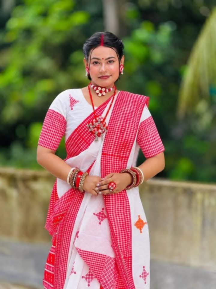 Elegant Classic Saree